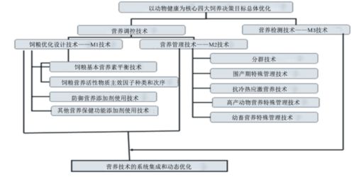构建动物健康营养体系 学科战略突破与应用新篇章
