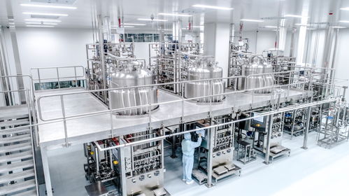 2023中国经济年报 计算机软硬件技术开发的创新突破与产业升级